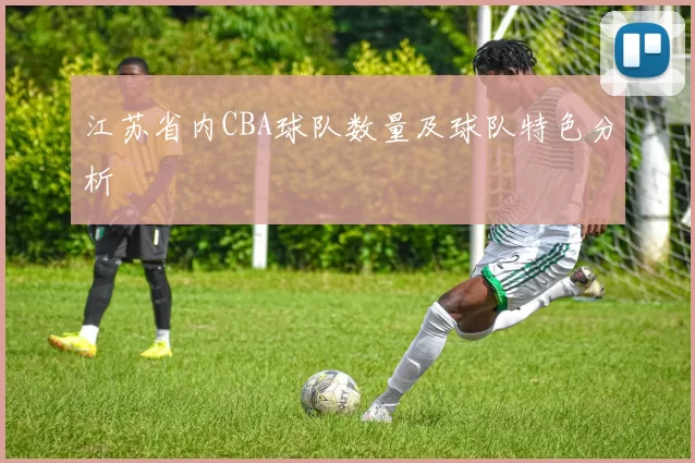 江苏省内CBA球队数量及球队特色分析