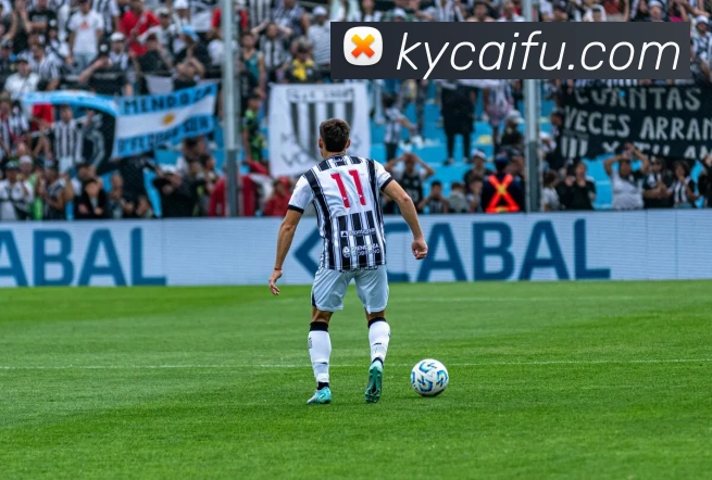 九游官网平台生态图